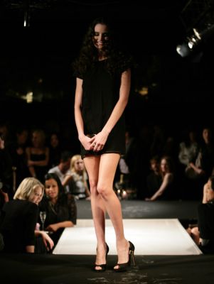 Cliquez pour voir l'image en taille relle
