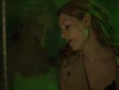 captures (509).jpg