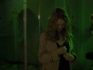 captures (532).jpg