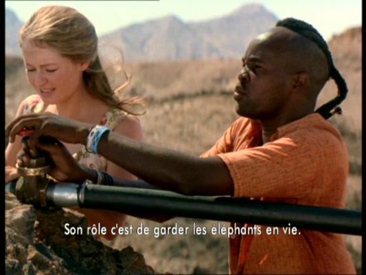 Cliquez pour voir l'image en taille réelle