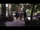 captures_(275).jpg