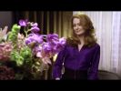captures_(891).jpg