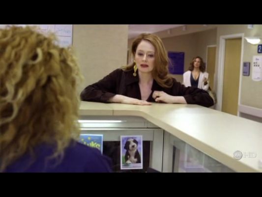 Cliquez pour voir l'image en taille relle